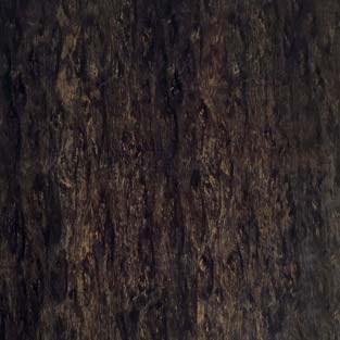 Special Wood - Pregiati Eucaliptus Pomele 01